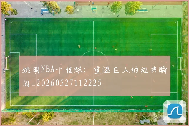 姚明NBA十佳球：重温巨人的经典瞬间_20260527112225